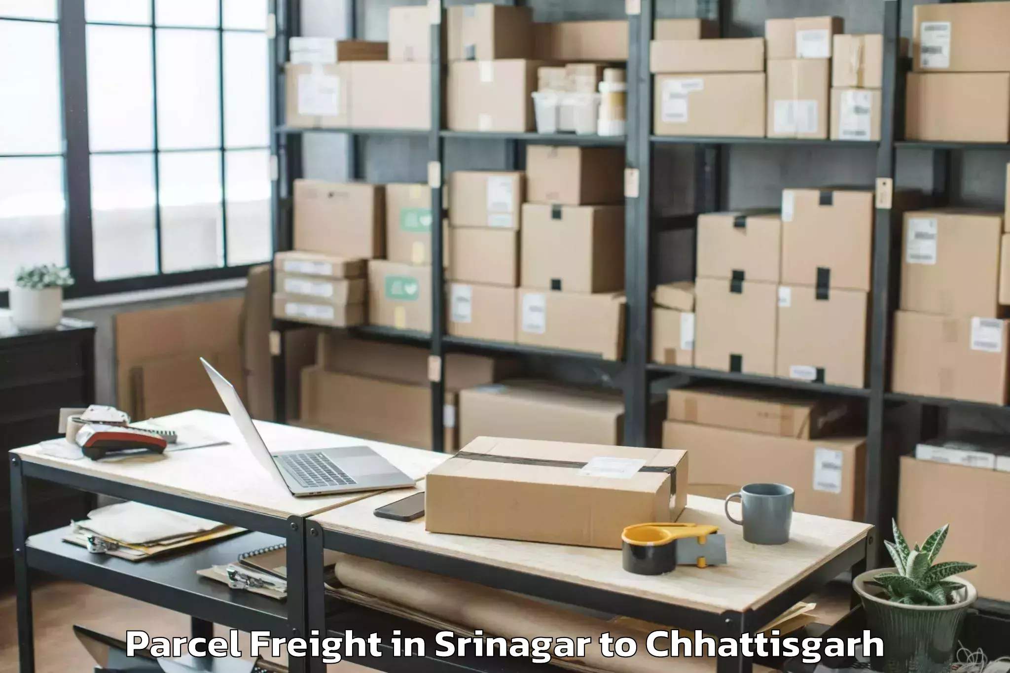 Affordable Srinagar to Dongargarh Parcel Freight